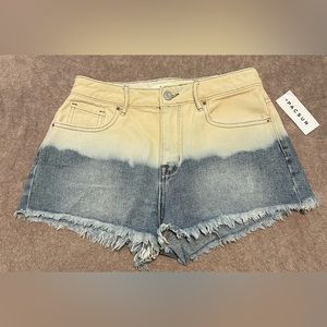 PacSun NWT Springtide 25 Women’s Jean Shorts
